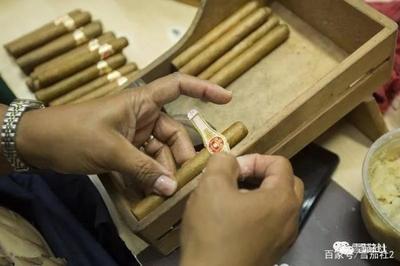 探寻品质之源 古巴雪茄2020年新品测试活动深度解析